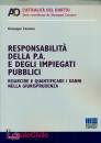 CASSANO GIUSEPPE, Responsabilit della P.A. e impiegati pubblici