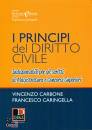 CARBONE - CARINGELLA, I principi del diritto civile