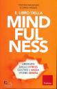 MCKENZIE - HASSED, Il lbro della mindfulness