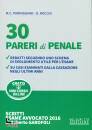 PARMIGGIANI - ROCCHI, 30 pareri di diritto penale