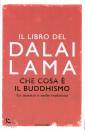 DALAI LAMA, Che cosa e