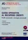 Maurizio De Giorgi, Guida operativa al recupero crediti