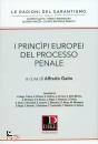 GAITO ALFREDO, I principi europei del processo penale