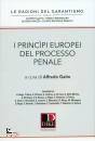 immagine di I principi europei del processo penale