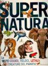 GRIBAUDO, Supernatura