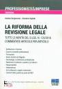 SERGIACOMO VIGLIETTI, La riforma della revisione legale