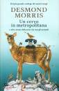 MORRIS DESMOND, Un cervo in metropolitana