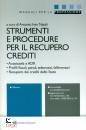 NATALI IVAN ANTONIO, Strumenti e procedure per il recupero crediti