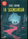 SACHAR LOUIS, La scorciatoia