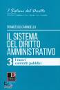 CARINGELLA FRANCESCO, I nuovi contratti pubblici 3