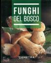 immagine di Funghi del bosco