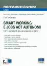 STERN PAOLO /ED, Smart Working e Jobs Act Autonomi