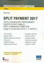 FORTE NICOLA, Split payment 2017