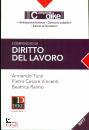 TURSI - RAIMO - ..., Compendio di diritto del Lavoro