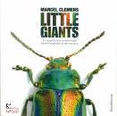 CLEMENS MARCEL, Little giants - Insetti fotografati al microscopio