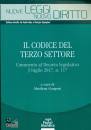 GORGONI MARILENA, Il codice del Terzo settore