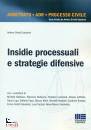 immagine di Insidie processuali e strategie difensive