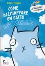 Tobin Paul, Come acchiappare un gatto invisibile