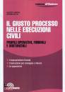 immagine di Il giusto processo nelle esecuzioni civili