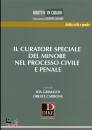 GRIMALDI - CARBONE, Curatore speciale del minore nel processo civile