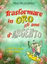 PELLEGRINO PINO, Trasformare in oro gli anni d