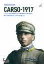 CATELLANI RENZO, Carso 1917 Il 154 reggimento brigata Novara