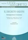 CURI FRANCESCA, Il Decreto Salvini Immigrazione e sicurezza