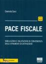 SAVI DANIELA, Pace fiscale