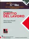 TURSI VINCENTI RAIMO, Compendio di diritto del lavoro 2019