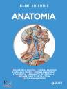 ATLANTI SCIENTIFICI, Anatomia