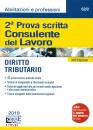 SIMONE, Consulente del lavoro 2 prova scritta