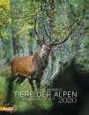 AAVV, Tiere der Alpen 2020 . Calendario Animali Alpi