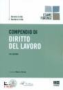 IROLLO DANIELA & G., Compendio di diritto del lavoro  esame avvocato