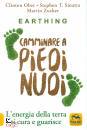 OBER SINATRA ZUCKER, Earthing Camminare a piedi nudi