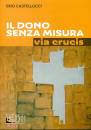 CASTELLUCCI, Il dono senza misura Via crucis