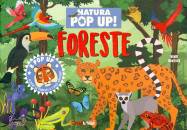 DAVID HAWCOCK, Foreste Natura pop up!