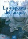 EMOTO MASARU, La risposta dell