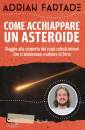 immagine di Come acchiappare un asteroide