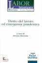 MAZZOTTA ORONZO, Diritto del lavoro ed emergenza pandemica