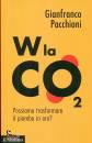 immagine di W la CO2 Possiamo trasformare il piombo in oro?