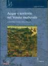 immagine di Acque e territorio nel Veneto medievale