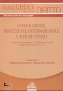 immagine di Immigrazione, protezione internazionale e misure