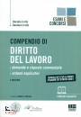 IROLLO DANIELA & G., Compendio di Diritto del lavoro