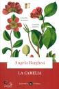 BORGHESI ANGELA, La camelia