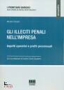 ROSSETTI MICHELE, Gli illeciti penali nell