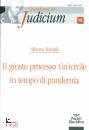 immagine di Il giusto processo (in)civile in tempo di pandemia