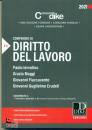 IERVOLINO - MAGGI -, Compendio di diritto del lavoro