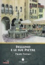 immagine di Belluno e le sue pietre