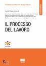 PALIAGA DANIELA /ED, Il processo del lavoro