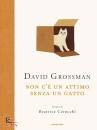 GROSSMAN DAVID, Non c